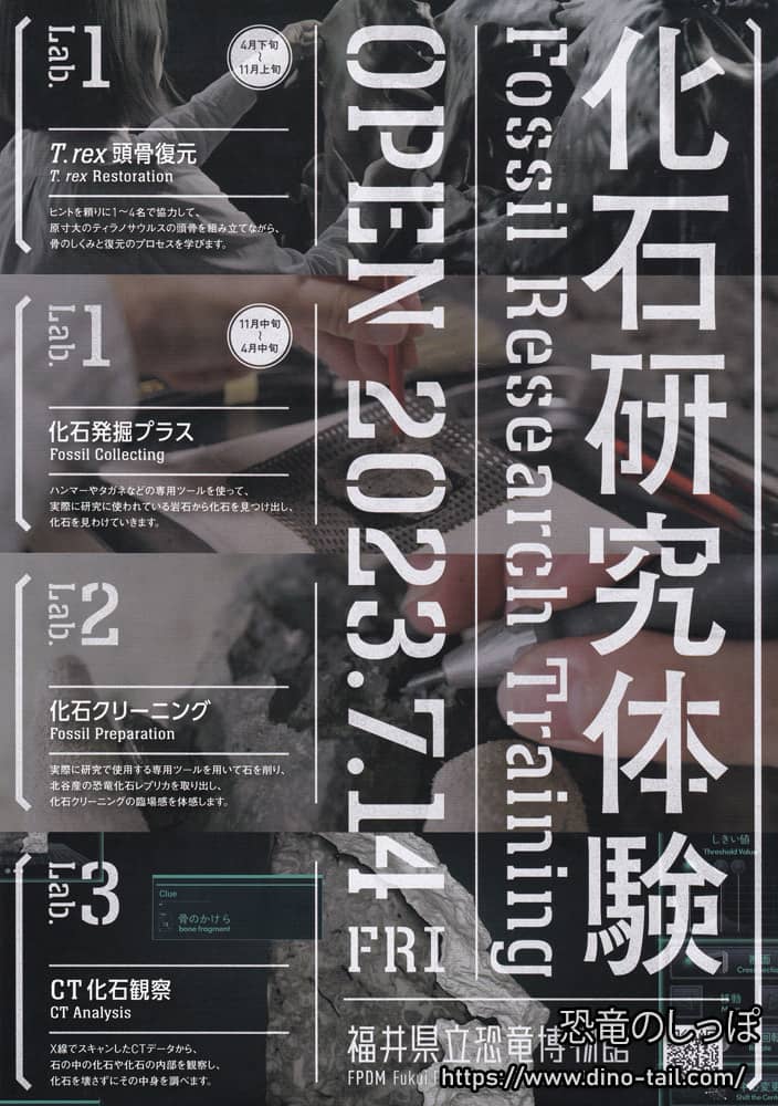 化石研究体験