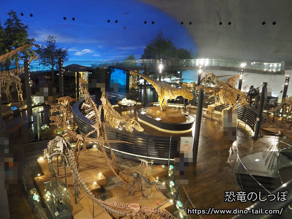 福井県立恐竜博物館 1階-恐竜の世界