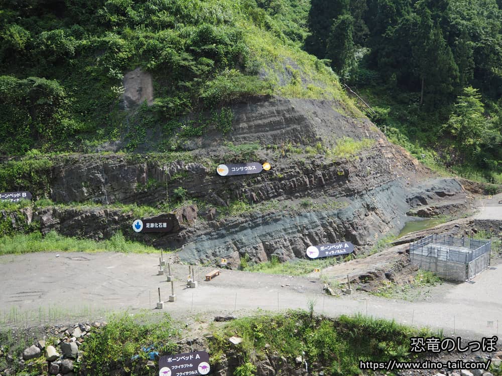 野外恐竜博物館 北谷層