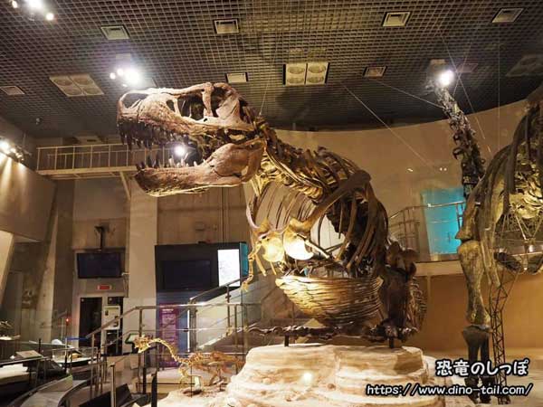 Exhibit at the National Museum of Nature and Science