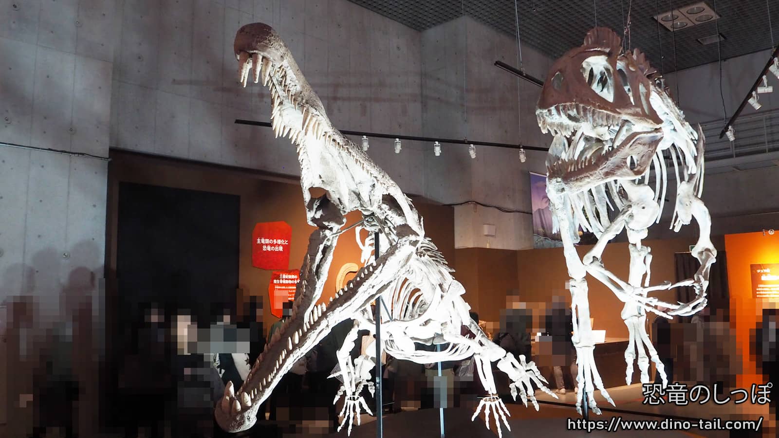 Redondasaurus (Late Triassic) and Cryolophosaurus (Early Jurassic)