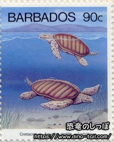 Archelon stamp