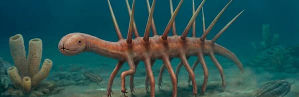 Other Prehistoric Life