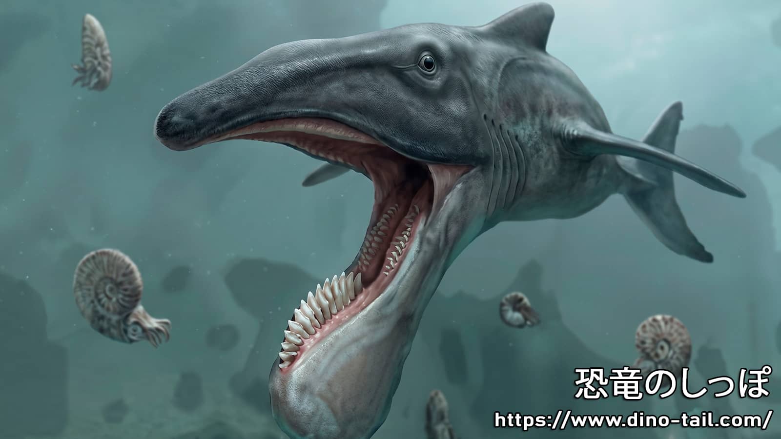 Helicoprion's ecological reconstruction image