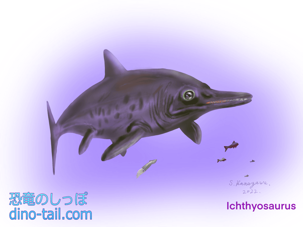 Illustration of Ichthyosaurus