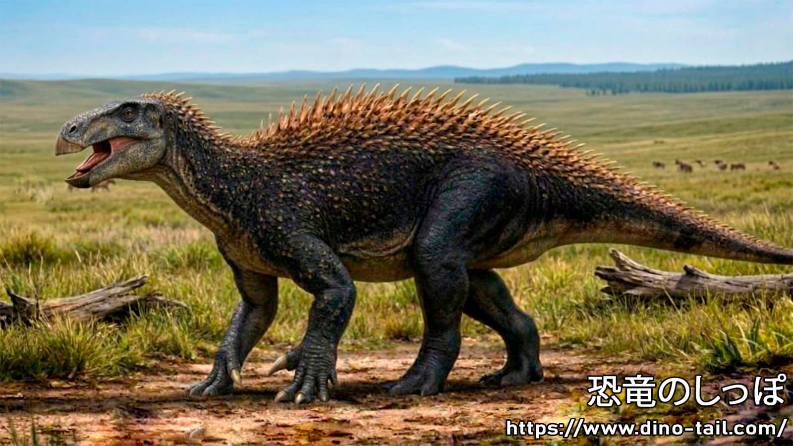 Illustration of Haolong dongi