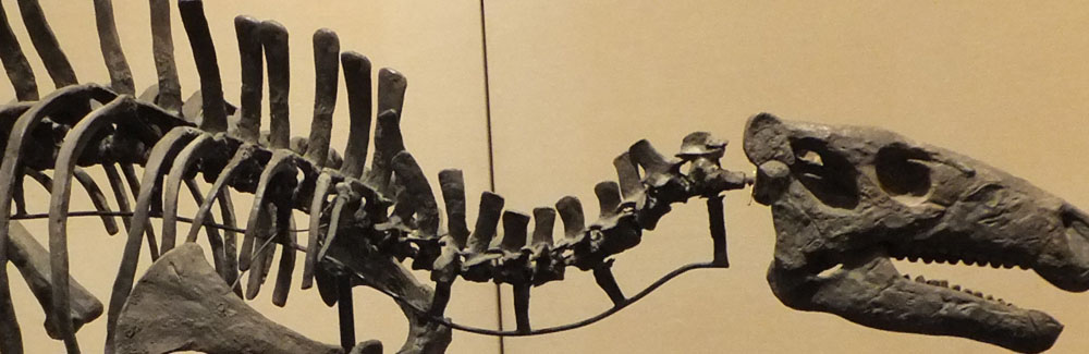 2013 Dinosaur News