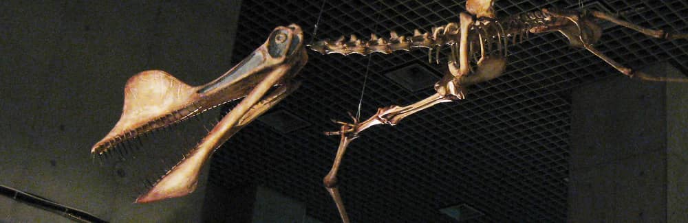 Dinosaurs of Brazil Header Image