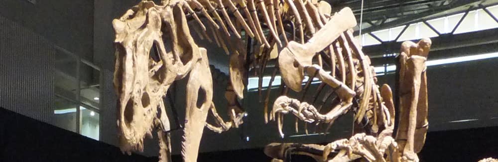 Header image for Definition and Features of Dinosaurs