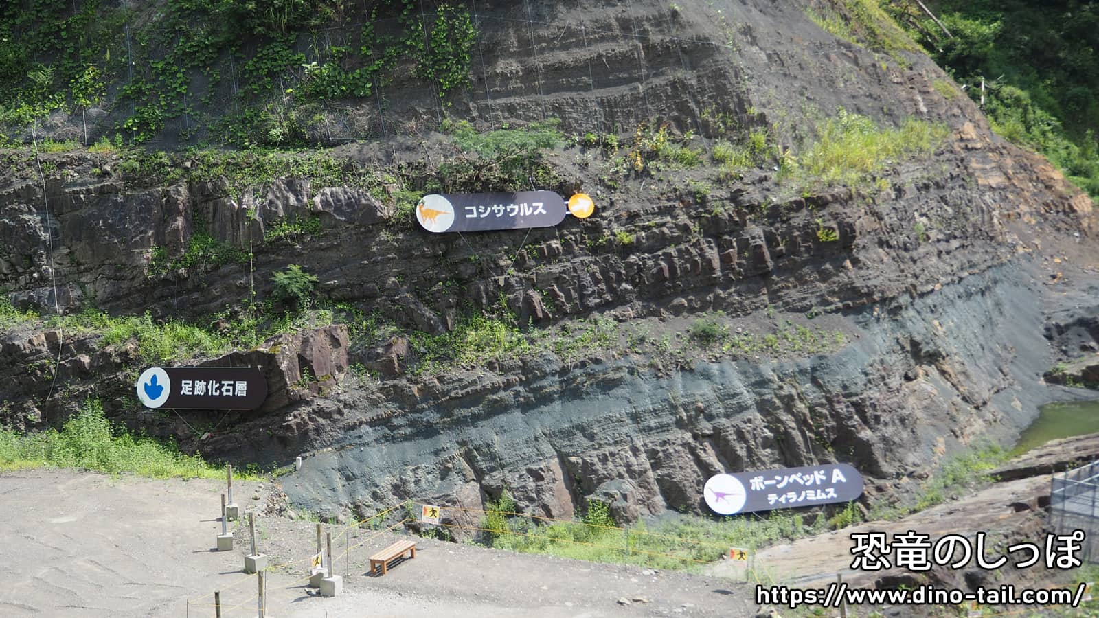 Excavation site of the Kitadani Formation, Tetori Group