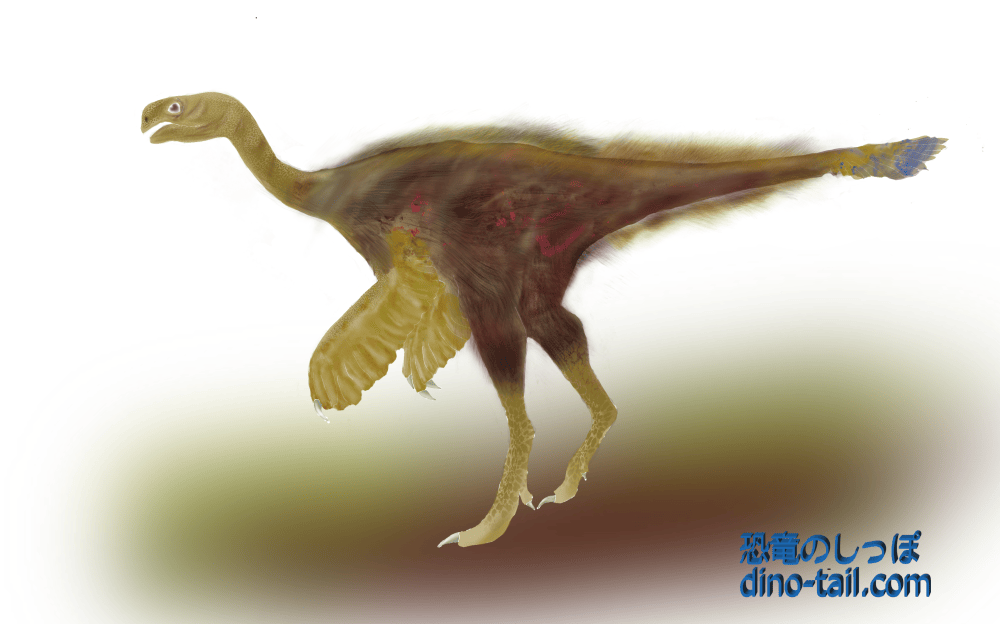 Author's illustration of Ajancingenia (Ingenia)