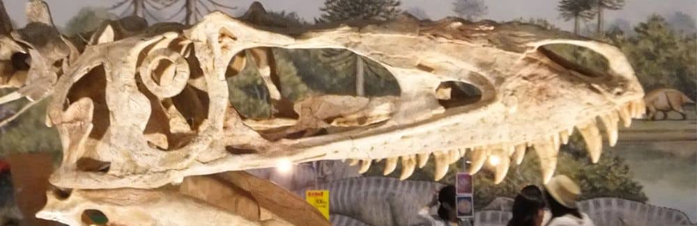 Alioramus
