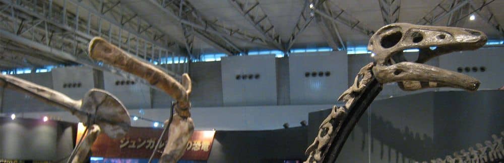 Archaeornithomimus