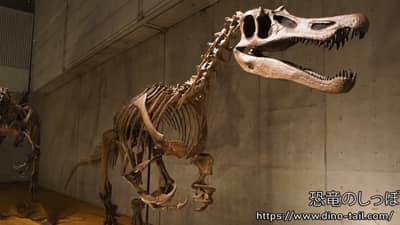 Baryonyx | Dino Tail - Encyclopedia