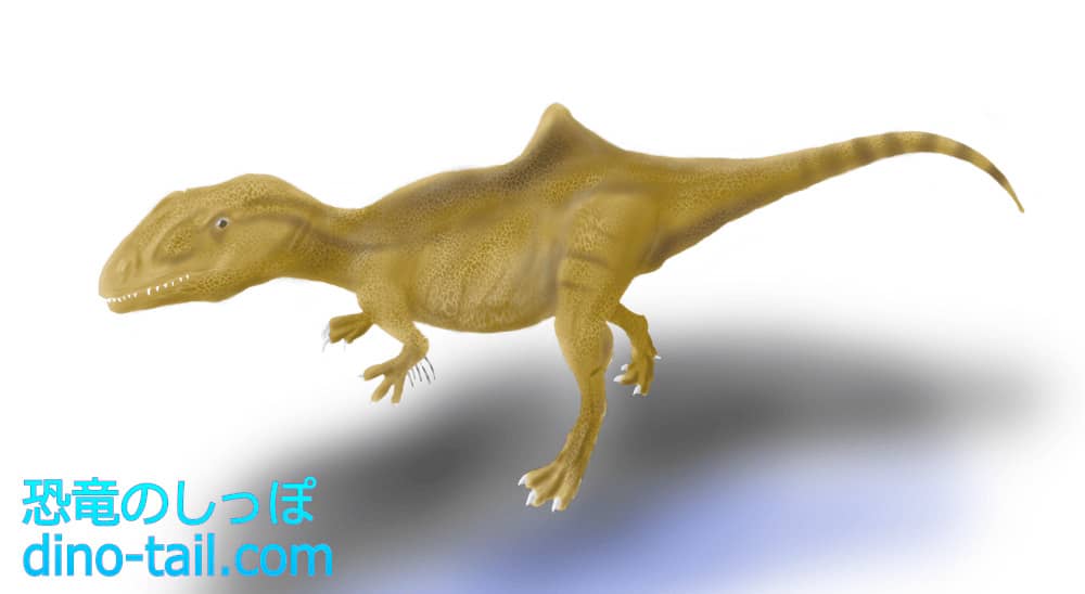 Illustration of Concavenator