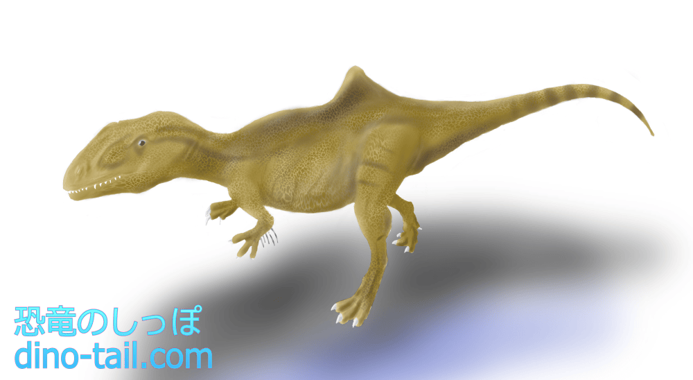 Illustration of Concavenator