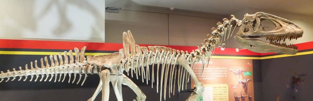 Concavenator