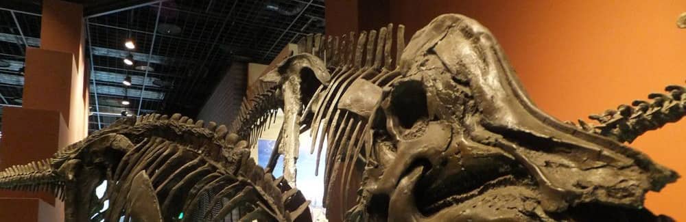 Corythosaurus