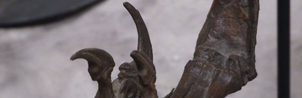 Deinonychus