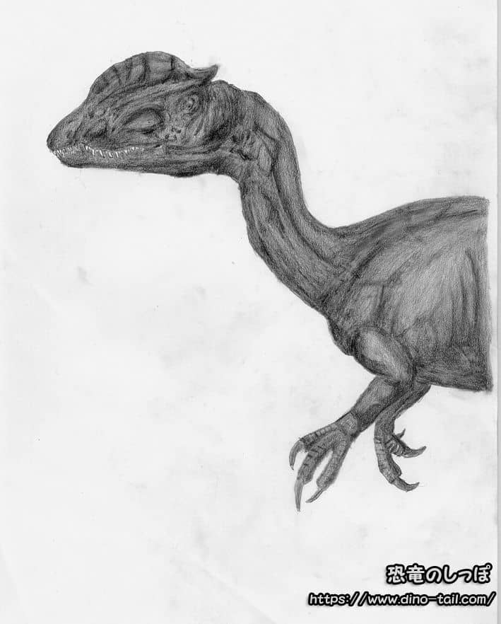 Pencil drawing of Dilophosaurus