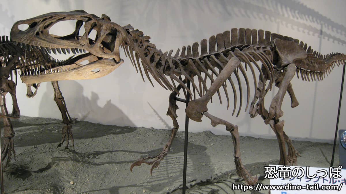 Fukuiraptor | Dino Tail - Encyclopedia