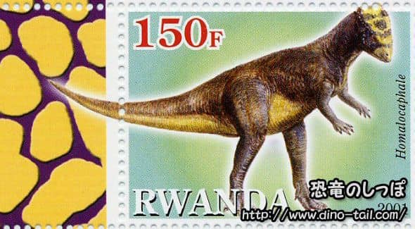 Homalocephale stamp