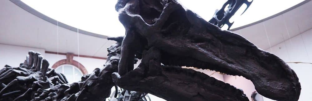 Iguanodon
