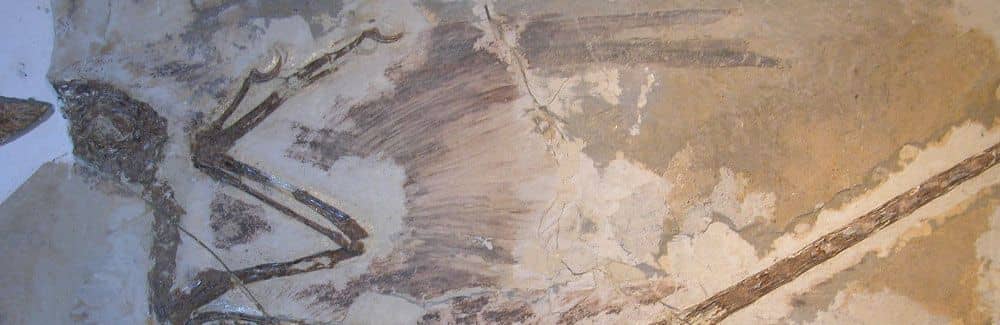 Cretaceous