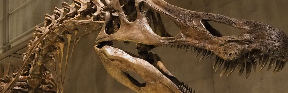 Theropoda