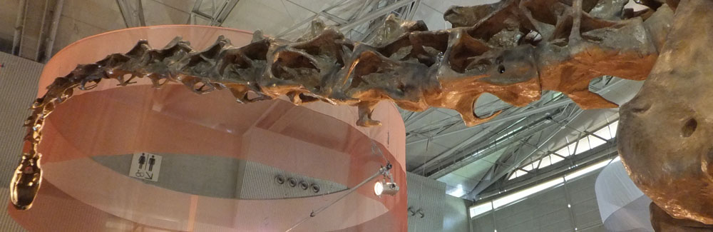 Sauropodomorpha