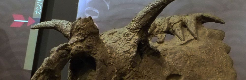 Kosmoceratops