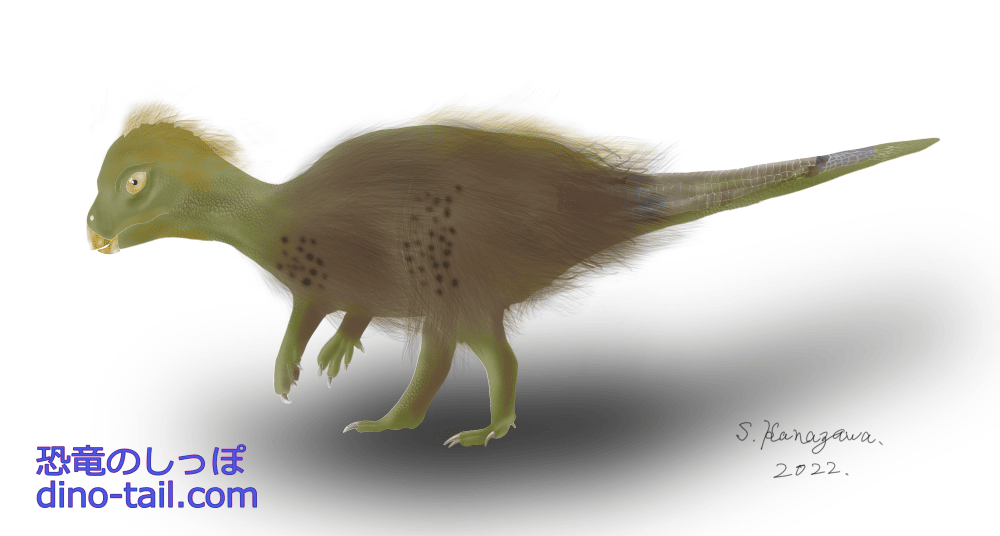 Illustration of Kulindadromeus