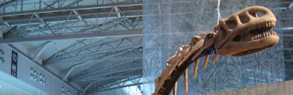 Lufengosaurus