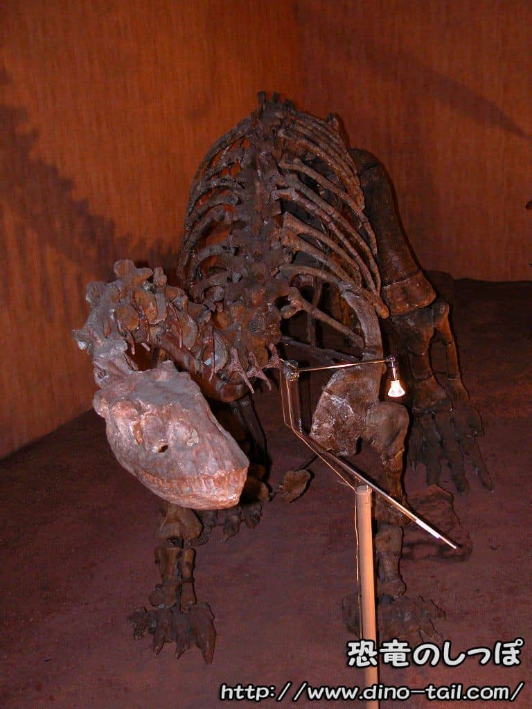 Lufengosaurus juvenile complete skeleton fossil