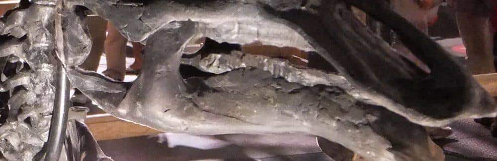 Maiasaura