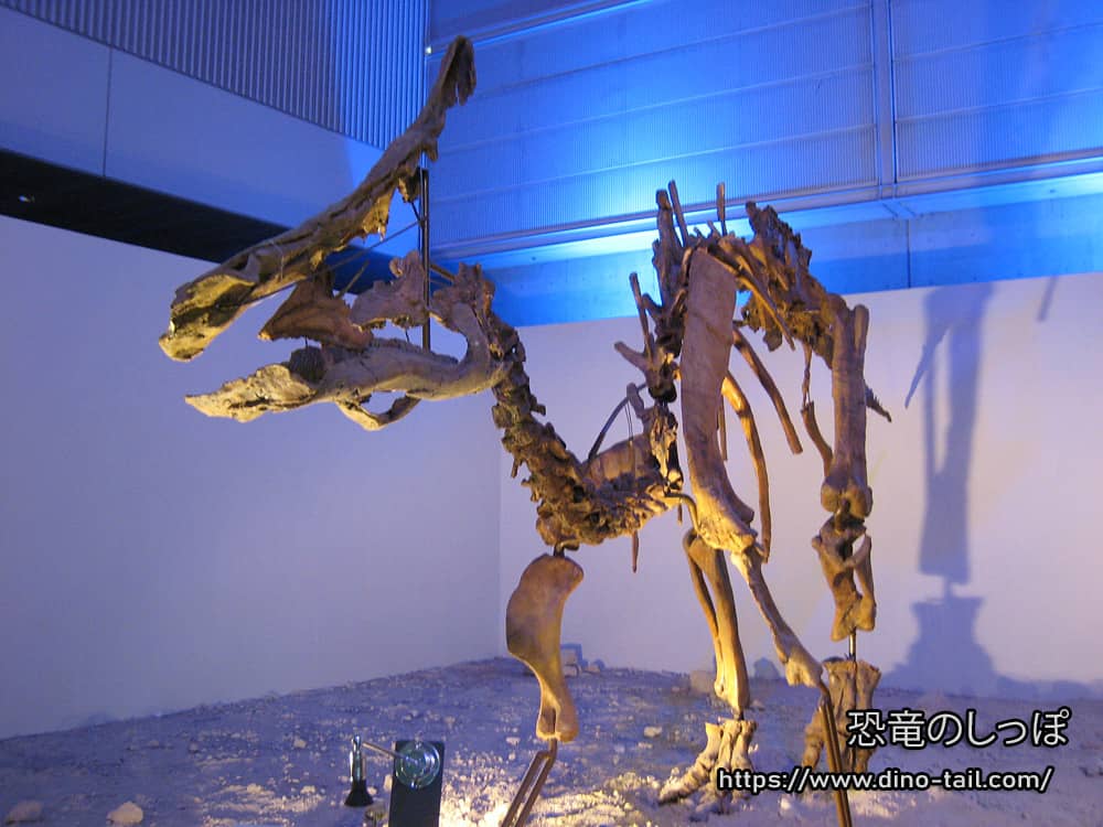 Olorotitan complete skeleton fossil