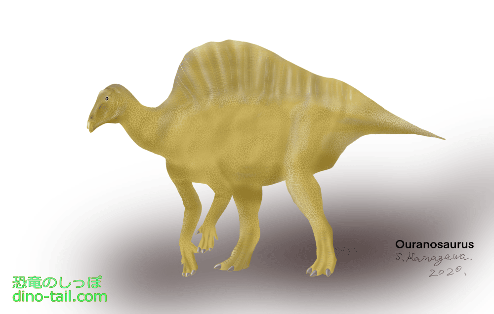 Illustration of Ouranosaurus