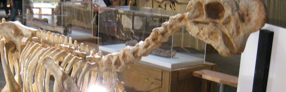 Oviraptor