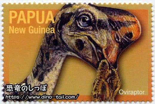 Oviraptor skull fossil