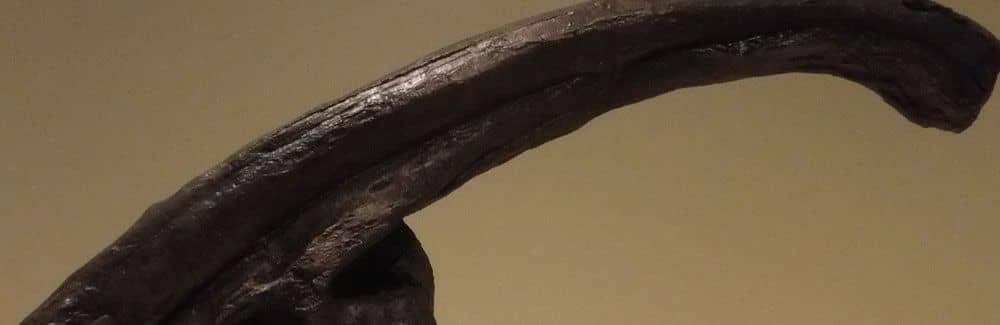 Parasaurolophus