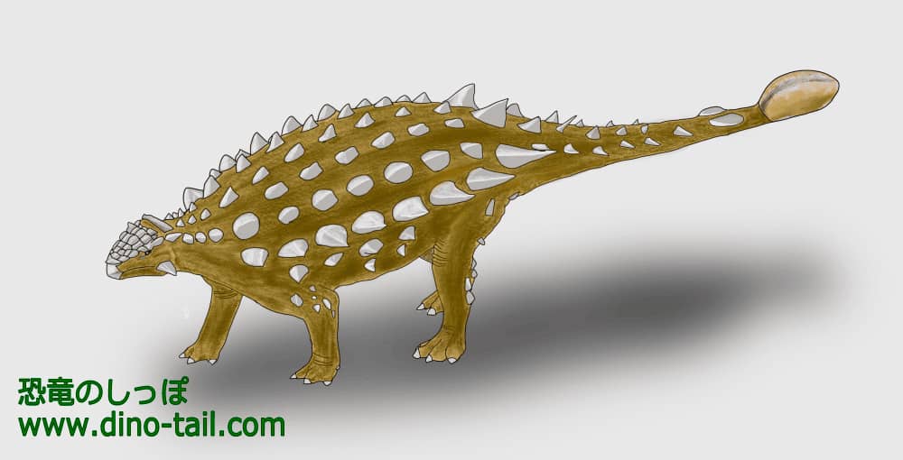 Illustration of Saichania