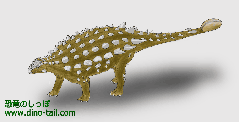 Illustration of Saichania