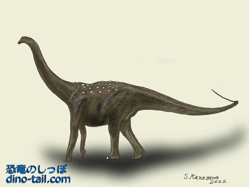 Illustration of Saltasaurus