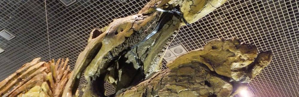 Saurolophus