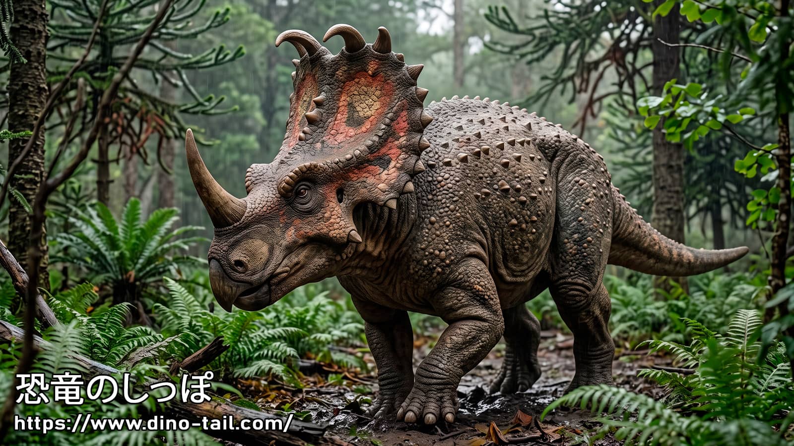 Life restoration of Sinoceratops