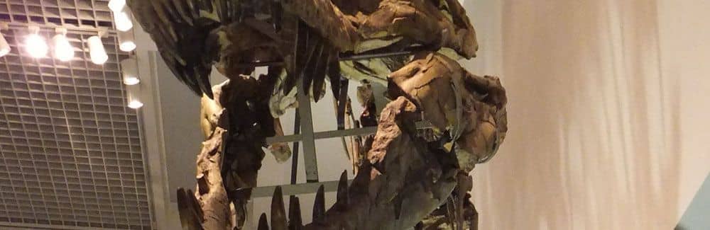 Tarbosaurus