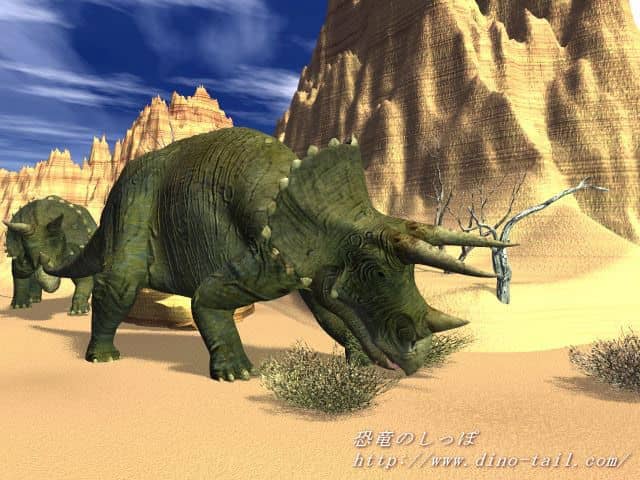 A scene with Triceratops