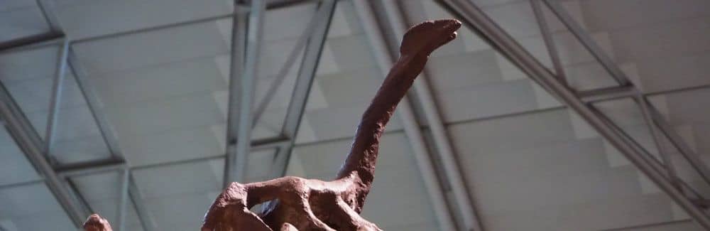 Tsintaosaurus