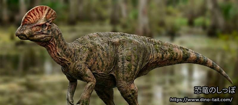 Life reconstruction of Velafrons