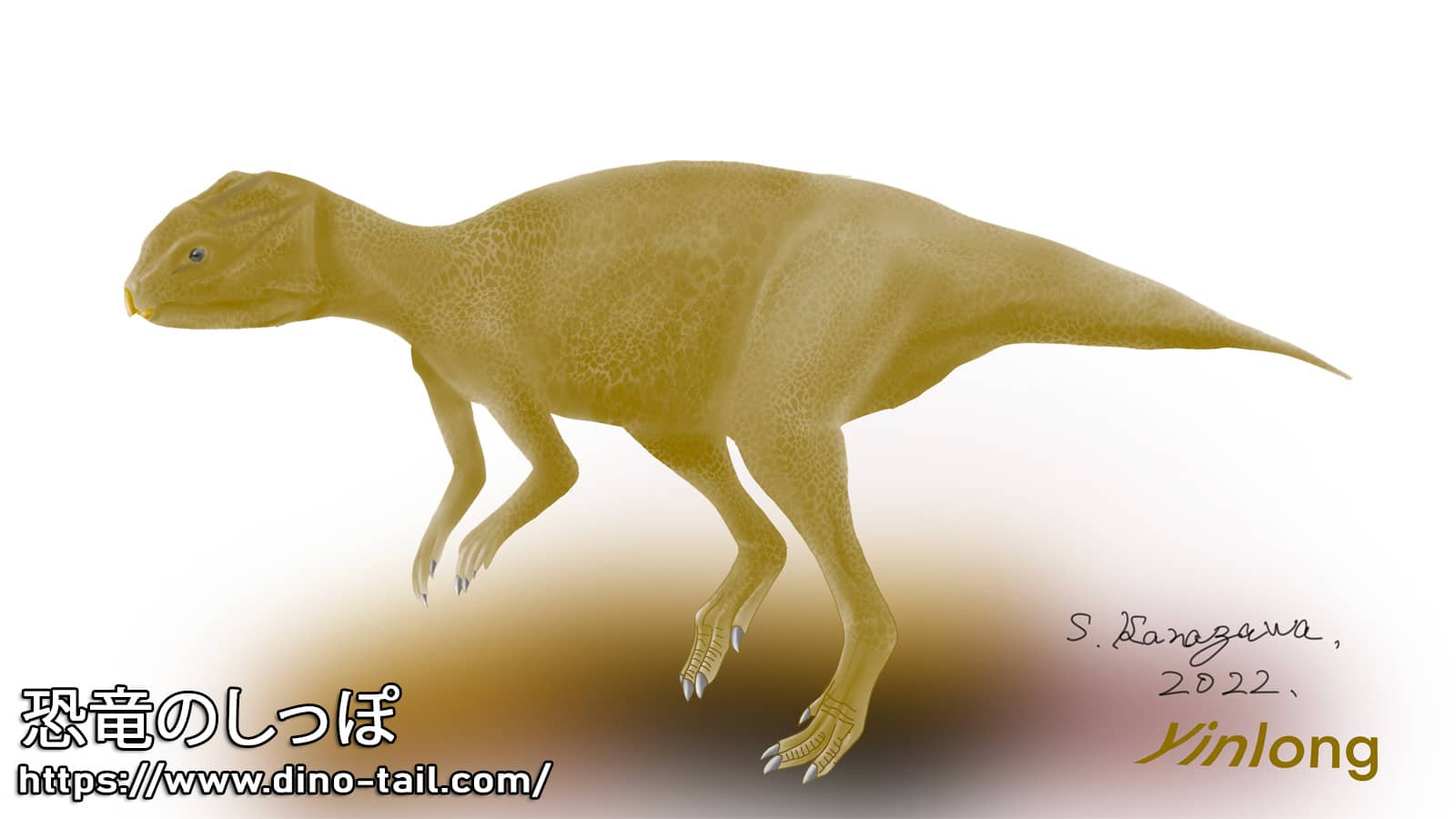 Yinlong Dino Tail Encyclopedia